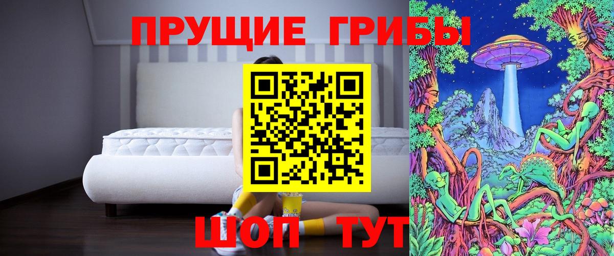 Псилоцибиновые грибы мухоморы Кохма